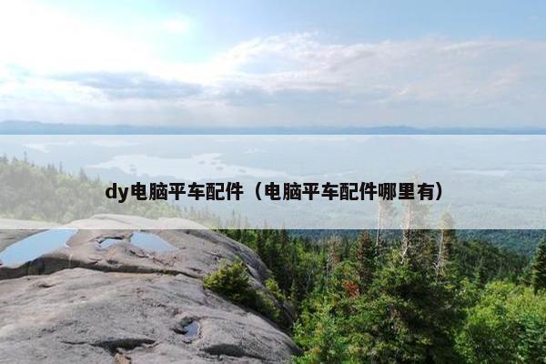 dy电脑平车配件（电脑平车配件哪里有）