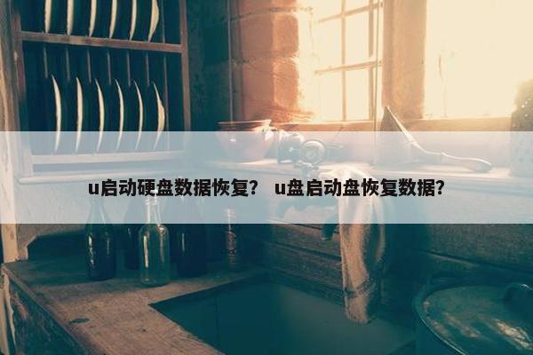 u启动硬盘数据恢复？ u盘启动盘恢复数据？