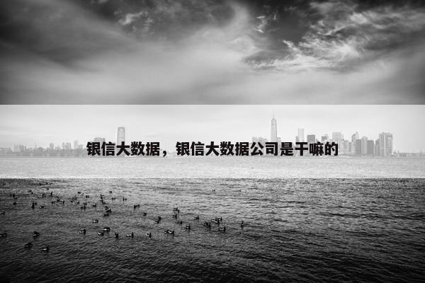 银信大数据，银信大数据公司是干嘛的