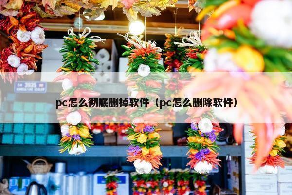 pc怎么彻底删掉软件（pc怎么删除软件）