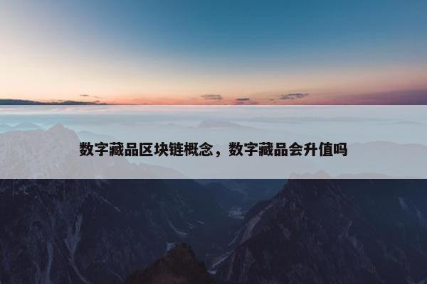 数字藏品区块链概念，数字藏品会升值吗