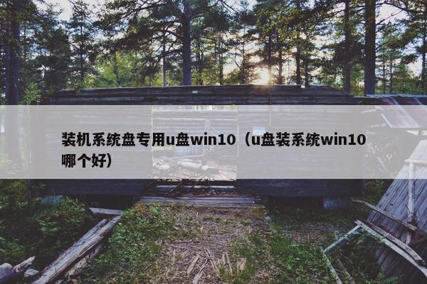 装机系统盘专用u盘win10（u盘装系统win10哪个好）