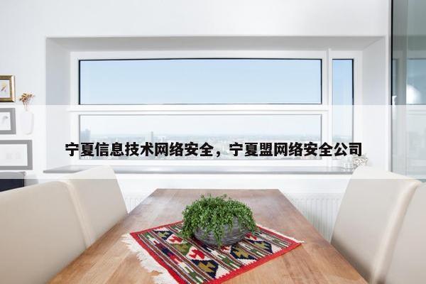 宁夏信息技术网络安全，宁夏盟网络安全公司