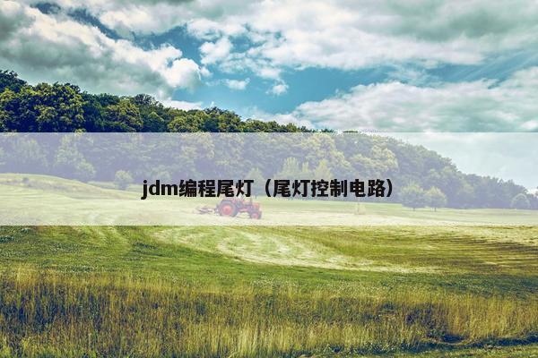 jdm编程尾灯（尾灯控制电路）