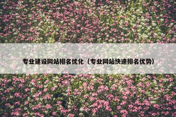 专业建设网站排名优化（专业网站快速排名优势）