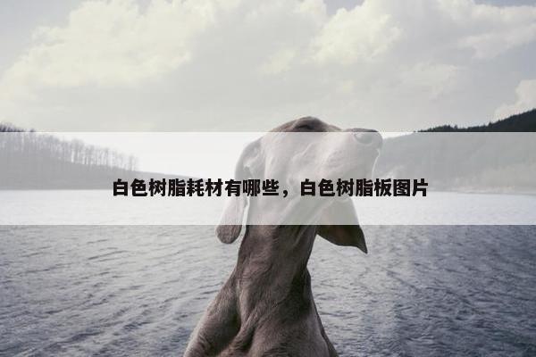 白色树脂耗材有哪些，白色树脂板图片
