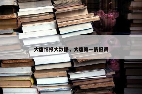 大唐情报大数据，大唐第一情报员