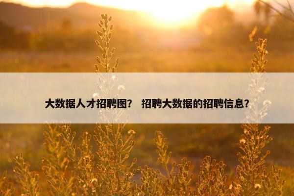 大数据人才招聘图？ 招聘大数据的招聘信息？