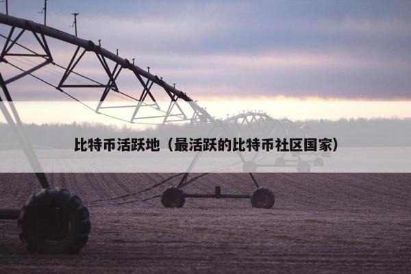 比特币活跃地（最活跃的比特币社区国家）