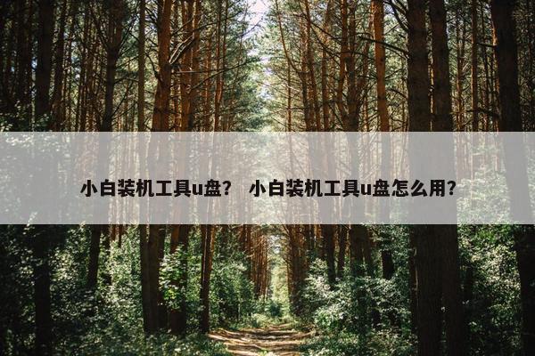 小白装机工具u盘？ 小白装机工具u盘怎么用？