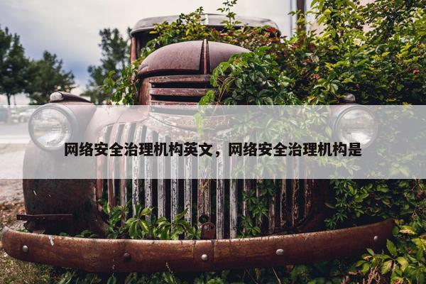网络安全治理机构英文，网络安全治理机构是
