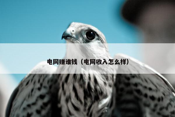 电网赚谁钱（电网收入怎么样）
