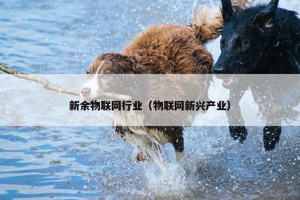 新余物联网行业（物联网新兴产业）