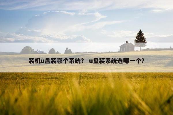 装机u盘装哪个系统？ u盘装系统选哪一个？