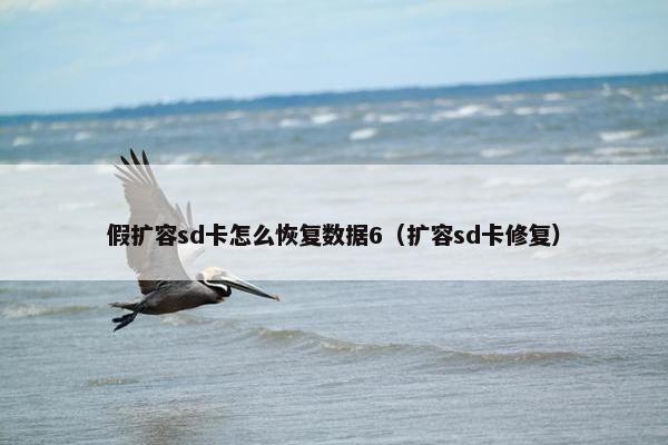 假扩容sd卡怎么恢复数据6（扩容sd卡修复）