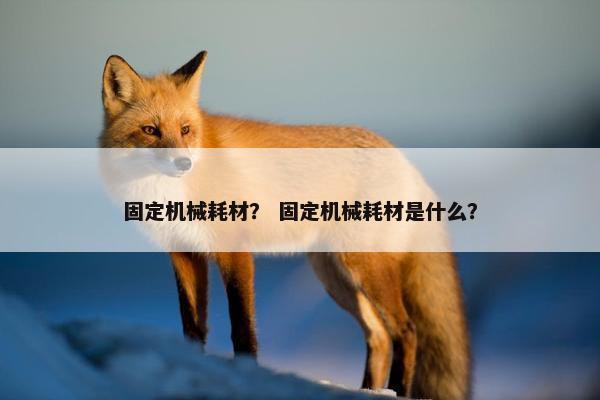 固定机械耗材？ 固定机械耗材是什么？