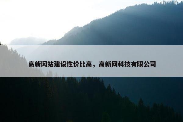 高新网站建设性价比高，高新网科技有限公司