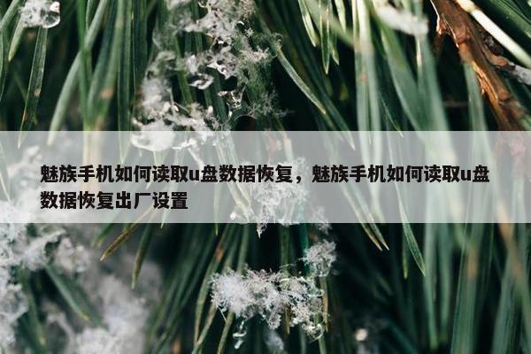 魅族手机如何读取u盘数据恢复，魅族手机如何读取u盘数据恢复出厂设置