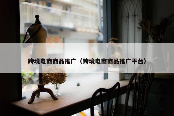 跨境电商商品推广（跨境电商商品推广平台）