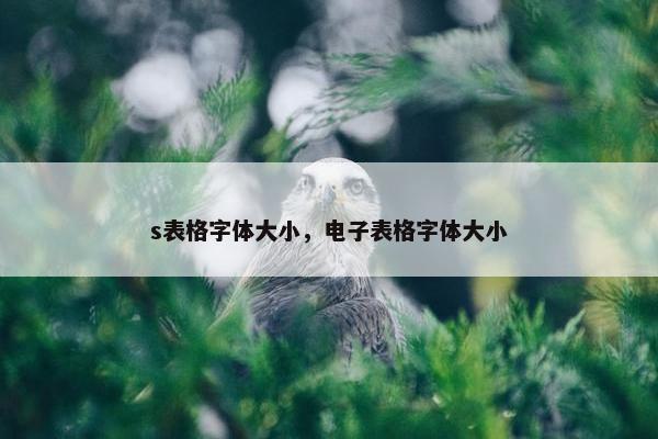 s表格字体大小，电子表格字体大小