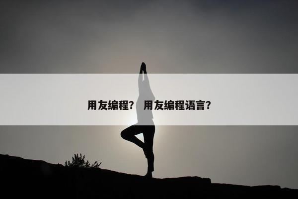 用友编程？ 用友编程语言？