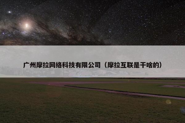 广州摩拉网络科技有限公司（摩拉互联是干啥的）