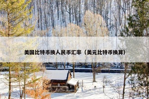 美国比特币换人民币汇率（美元比特币换算）