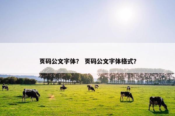 页码公文字体？ 页码公文字体格式？