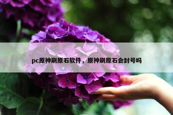 pc原神刷原石软件，原神刷原石会封号吗